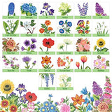 FolkArt Z' Floral One Stroke Kit, Including 10 Multi-Surface Paints, 5 Brushes, 50 Full-Color Teaching Guides, 1 Floating Medium, and a Wood Storage FolkArt