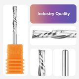 SpeTool Downcut CNC Bit 1/8 Inch Cutting Diameter 1/8 Inch Shank, Solid Carbide Spiral Router Bit Pluge Cut for Woodwoorking Inlay Engraving Tool SpeTool