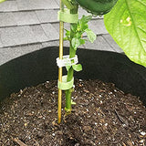 20 Pcs 18 Inch Natural Bamboo Plant Support Stakes for Indoor Plants, Bamboo Sticks Poles Garden Bamboo Stakes for Potted Plants, Tomato, Beans Yowlieu