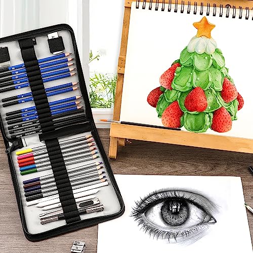 KALOUR Sketching Coloring Art Set - 38 Pieces Drawing Kit with Sketch Pencils,Watercolor Pencils,Charcoal,Brush,Eraser -Portable Zippered Travel Case - WoodArtSupply