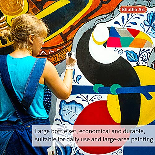 Shuttle Art 18 Colors Acrylic Paint Bottle Set (250ml/8.45oz), Rich Pigmented Bulk Painting Supplies for Artists, Beginners and Kids on Rocks Crafts Shuttle Art