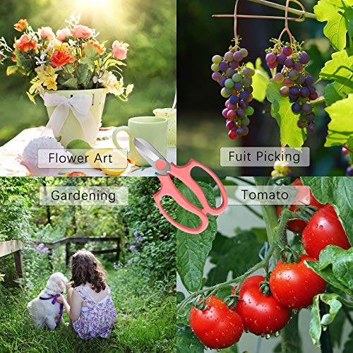 Leize Garden Flower Scissors, Premium Thickened Stainless Steel Floral Shears, Strong Pruner for Flowers, Branches and Leaves Leize