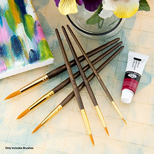 Royal & Langnickel Gold Royal Zip N' Close Taklon Round 6-Piece Brush Set, 10.5 x 2.9 x 0.5 - WoodArtSupply