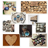 William Craft Unfinished Natural Wood Slices 20 Pcs 2.75-3.1 inch Wood Coaster Pieces Craft Wood kit Circles Crafts Christmas Ornaments DIY Crafts William Craft