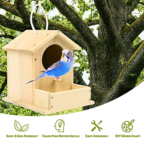 LotFancy Bird House Kit, DIY Wooden Birdhouse Kits, Arts and Crafts Painting Kits for Kids Ages 5+, Build and Paint, Including Paints & Brushes