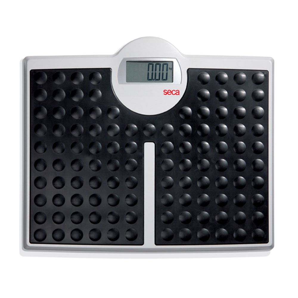 seca 813 - High Capacity Digital Flat Scale for Individual Patient use seca