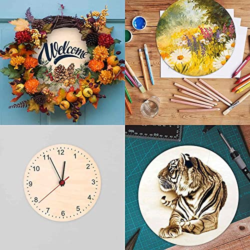 YRONTY 1Pcs 12Inch Unfinished Wood Circles with Hanger Rope, 0.1Inch Thick Blank Wood Rounds Slices Wood Circles for Crafts, Door Hangers, Painting, YRONTY