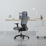 FLEXISPOT OC3B Ergonomic Executive Mesh Office Task Chair Swivel Height Adjustable Seat Headrest Armrest Lumbar Support Caster Wheels For Computer FLEXISPOT
