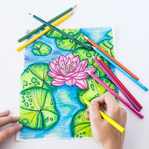 Art 101 USA Deluxe Art Set with 119 Pieces in a Wood Organizer Case, Includes Color Pencils, Paints, brushes and palettes, Learning guides, Portable Art 101 USA