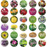 30 Bags Dried Flowers,100% Natural Dried Flowers Herbs Kit for Soap Making, DIY Candle Making,Bath - Include Rose Petals,Lavender,Don't Forget SACATR
