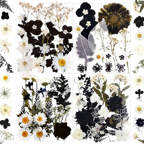 MIKIYA 84Pcs Black Dried Pressed Flowers for Resin Molds, Bulk Real Natural Dry Floral for DIY Art Crafts, Epoxy Jewelry, Candle, Soap Making, Nails MIKIYA