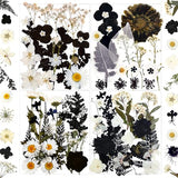 MIKIYA 84Pcs Black Dried Pressed Flowers for Resin Molds, Bulk Real Natural Dry Floral for DIY Art Crafts, Epoxy Jewelry, Candle, Soap Making, Nails MIKIYA