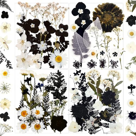 MIKIYA 84Pcs Black Dried Pressed Flowers for Resin Molds, Bulk Real Natural Dry Floral for DIY Art Crafts, Epoxy Jewelry, Candle, Soap Making, Nails MIKIYA