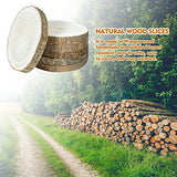 OBTANIM 5 Pcs Natural Wood Slices 6-7 Inch Large Unfinished Round Wooden Circles with Tree Bark for Table Centerpieces DIY Painting Crafts Wedding OBTANIM