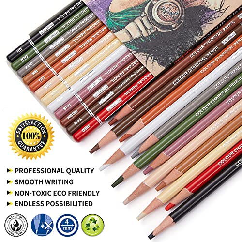 PANDAFLY Professional Drawing Sketching Pencil Set - 12 Pieces Graphite  Pencils(14B - 2H), Ideal for Drawing Art, Sketching, Shading, Artist Pencils  for Beginners & Pro Artists 12 Pack - Black