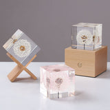 RESINWORLD Set of 4", 3", 2", 1.5", 1", 0.5" Clear Silicone Cube Molds, Large Deep Square Epoxy Resin Mold, Transparent Cube Silicone Molds for Resin ResinWorld