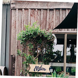 Anneome 4pcs Wooden Sign Unfinished Hanging Sign Unfinished Hanging Wood Plaque Sign for Front Door Blank Wooden Plaques Unfinished Blank Plaques DIY Anneome