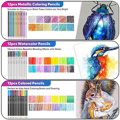 Art Supplies for Adults Kids, 81-Pack Pro Art Kit School Drawing Supplies Pencil Set, Sketch Book, Sketching Pencils Kits, Graphite Pencils, Charcoal - WoodArtSupply