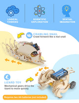 5 Set STEM Kits, STEM Projects for Kids Ages 8-12, 3D Wooden Puzzles, Build and Paint Animal STEM Learning Toys, DIY Educational Science Building Poraxy