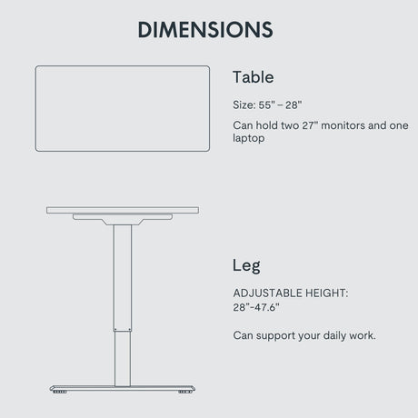 FLEXISPOT Height Adjustable Desk 55 x 28 inch Electric Standing Desk Whole-Piece Desk Board Stand Up Desk for Home Office (Gray Frame + 55" Natural FLEXISPOT