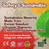 Taksa Toys Locomo Family I Open-Ended Waldorf Educational Outdoor Play Figures, Wooden Animal Montessori Toys for Kids 3 4 5 6 7+ for Childs Learning Taksa Toys