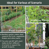 50Pcs Bamboo Plant Stakes for Indoor Outdoor Plants, 0.32''/16 Inch Bamboo Sticks Garden Support Stakes Bamboo Poles Trellis for Tomato Vegetables Avalution