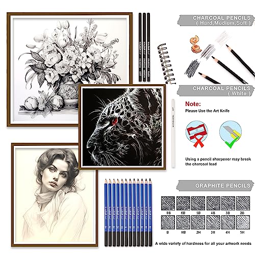 KALOUR Sketching Coloring Art Set - 38 Pieces Drawing Kit with Sketch Pencils,Watercolor Pencils,Charcoal,Brush,Eraser -Portable Zippered Travel Case KALOUR