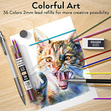 Nicpro 17PCS Metal 2mm Mechanical Pencil Set in Leather Case, 5 PCS 2.0 mm Lead Pencil Holders (4B 2B HB 2H 4H) 6 Tube Black Colored Lead Refills, Nicpro