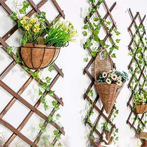 Iceyyyy Wood Lattice Wall Planter - Expandable Hanging Wooden Planter Trellis Frame, Indoor Air Plant Vertical Rack Wall Decor for Room Garden Iceyyyy