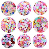 SUKPSY 100 Pcs Flatback Resin Flowers Mixed Loose Embellishments for DIY Crafts Hair Clips Phone Case Decorations Accessories (100)… SUKPSY