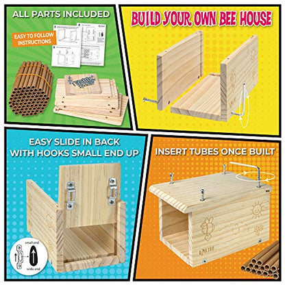 Rivajam Build a Bee House DIY Woodworking Project | Solitary Mason Bee House Nesting Box Wood Building Kit & Tools | Garden Arts & Crafts Activities - WoodArtSupply