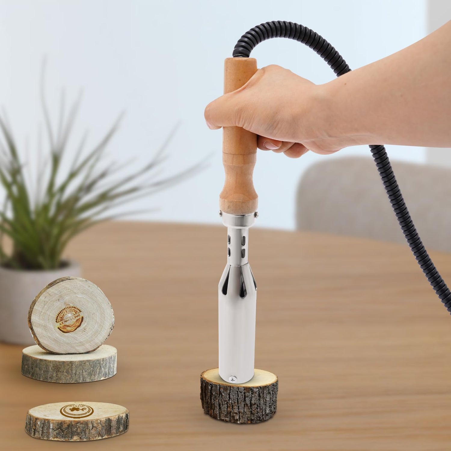 Adjustable Electric Branding Iron for Wood and Leather – 300W Temperature Control BINELUCOLU