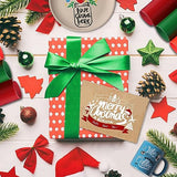 HTVRONT Matte Permanent Vinyl for Cricut - 14 Pack 12" X 12" Permanent Vinyl Bundle, Permanent Adhesive Vinyl for Craft Projects, Color Adhesive HTVRONT