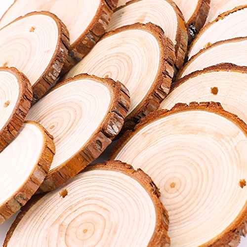 Fuyit Natural Wood Slices 25 Pcs 3.1-3.5 Inches Craft Wood Kit Unfinished Predrilled with Hole Wooden Circles Tree Slices for Arts and Crafts Fuyit
