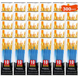 AROIC Painting Brush Set, 30 Packs/300 Pieces, Nylon Brush Head, Suitable for Oil and Watercolor, Perfect Suit of Art Painting, Best Gift for AROIC