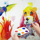 30 PCS White Plastic Paint Palettes 6 Well Rectangular Watercolor Palette Painting Tray for Painting Party, DIY Craft and Art Painting DAIKOYE