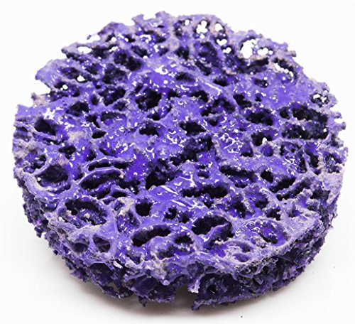 Benchmark Abrasives 2" Quick Change Non Woven Nylon Extra Coarse Strip Discs for Sanding Polishing Paint Removal with Male R-Type Backing Use with Benchmark Abrasives