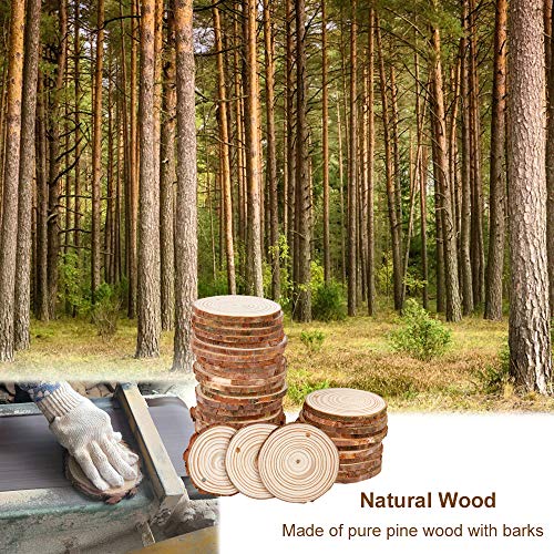 50Pcs 2.4"-2.8" Natural Wooden Slices,Colovis Unfinished Wood Circles with Holes Tree Bark Round Log Discs DIY Crafts Hanging Ornaments (50 Pcs,