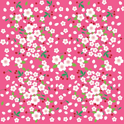 Classic Origami for Beginners Kit: 45 Easy-to-Fold Paper Models: Full-color instruction book; 98 sheets of Folding Paper: Everything you need is in Tuttle Publishing