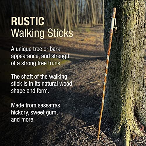 Brazos Rustic Wood Walking Stick, Twisted Sassafras, Traditional Style Handle, for Men & Women, Made in the USA, 48" Brazos
