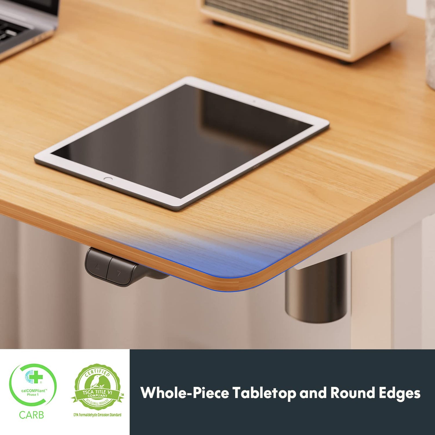 FLEXISPOT Standing Desk 48 x 24 Inches Whole-Piece Desktop Height Adjustable Desk Electric Sit Stand Up Desk Home Office Desks Computer FLEXISPOT