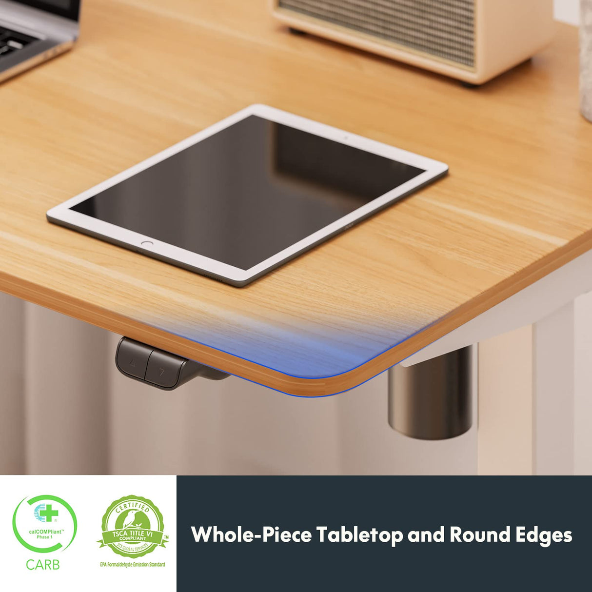 FLEXISPOT Standing Desk 48 x 24 Inches Whole-Piece Desktop Height Adjustable Desk Electric Sit Stand Up Desk Home Office Desks Computer FLEXISPOT