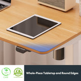 FLEXISPOT Standing Desk 48 x 24 Inches Whole-Piece Desktop Height Adjustable Desk Electric Sit Stand Up Desk Home Office Desks Computer FLEXISPOT