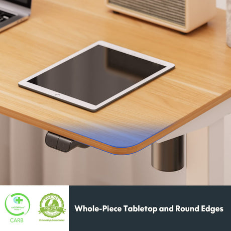 FLEXISPOT Standing Desk 48 x 24 Inches Whole-Piece Desktop Height Adjustable Desk Electric Sit Stand Up Desk Home Office Desks Computer FLEXISPOT