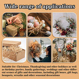 300g Natural Raffia Ribbon Raffia Grass - Sukh Raffia Straw for Florist Bouquets Decoration Crafts Ribbon for Gift Wrapping Christmas Gift Birthday Sukh