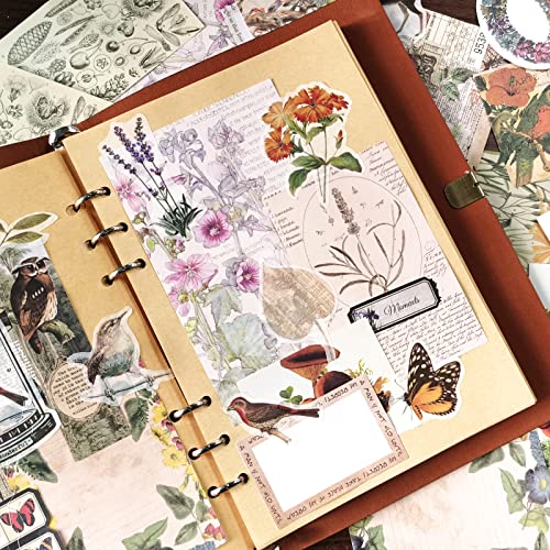 100 Pieces Vintage Ephemera Pack Junk Journal Kit Scrapbook Supplies  Decoupage Paper Sticker Material for Art Journaling Bullet Journals  Planners