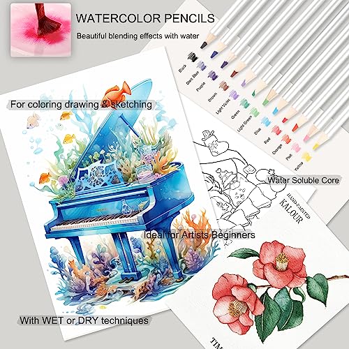 KALOUR Sketching Coloring Art Set - 38 Pieces Drawing Kit with Sketch Pencils,Watercolor Pencils,Charcoal,Brush,Eraser -Portable Zippered Travel Case KALOUR
