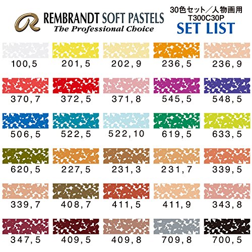 Rembrandt Royal Talens Soft Pastels General Wood Box Set, 30 Stick Rembrandt