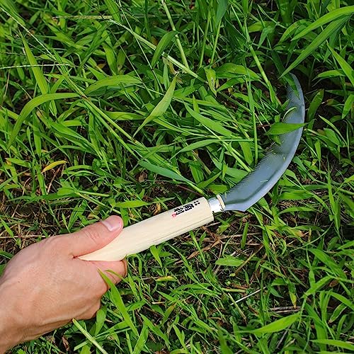 KAKURI Japanese Sickle Garden Tool 6.7" [Serrated Edge] Made in Japan, Garden Sickle for Harvesting and Weeding, Razor Sharp Japanese Stainless Steel KAKURI