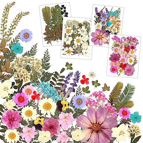 Resiners 100Pcs Dried Pressed Flowers for Resin Molds, Real Pressed Flowers Dry Leaves Kit for Art Crafts Resin Jewelry Making Scrapbook Supplies Resiners